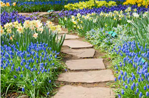 Garden Path Pavers Coleraine (028)